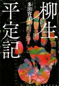 柳生平定記 集英社文庫／多田容子【著】