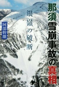 那須雪崩事故の真相 銀嶺の破断／阿部幹雄(著者)