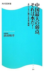 中国最大の弱点、それは水だ！ 水ビジネスに賭ける日本の戦略 角川ＳＳＣ新書／浜田和幸【著】