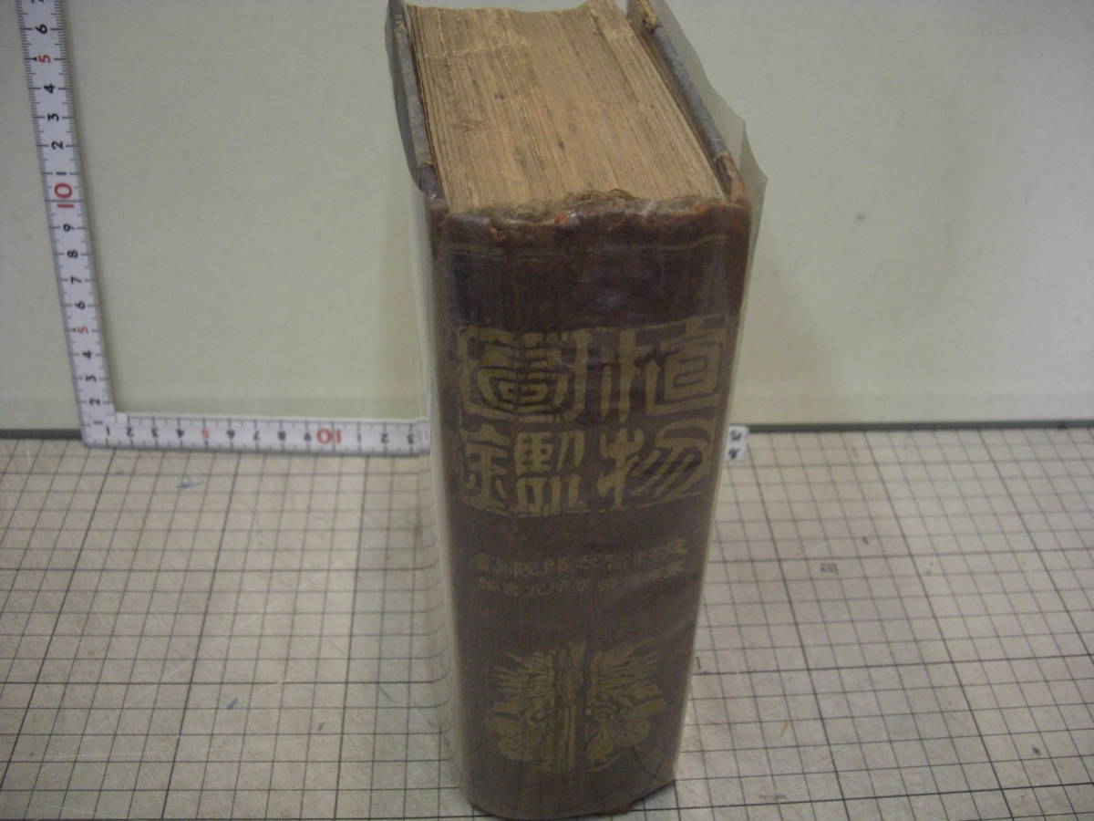 植物図鑑 北隆館刊 牧野富太郎訂 東京博物学研究会 編纂 | www