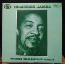 【BB160】HOMESICK JAMES「Homesick James, Ain't Sick No More (ホームシック・ジェイムス)」, JPN 国内初回盤　★シカゴ・ブルース_画像1