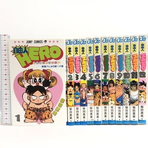 自由人HERO 全12巻揃い 集英社　柴田 亜美