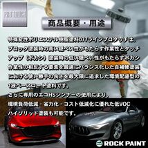 ロックペイント プロタッチ 調色 トヨタ B86 ターコイズブルーマイカメタリック　4kg（希釈済）Z26_画像3