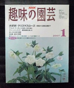 [04311]NHK趣味の園芸 2007年1月号 日本放送出版協会 クリスマスローズ マーガレット 寄せ植え 観葉植物 盆栽 ガーデニング 庭園 庭いじり