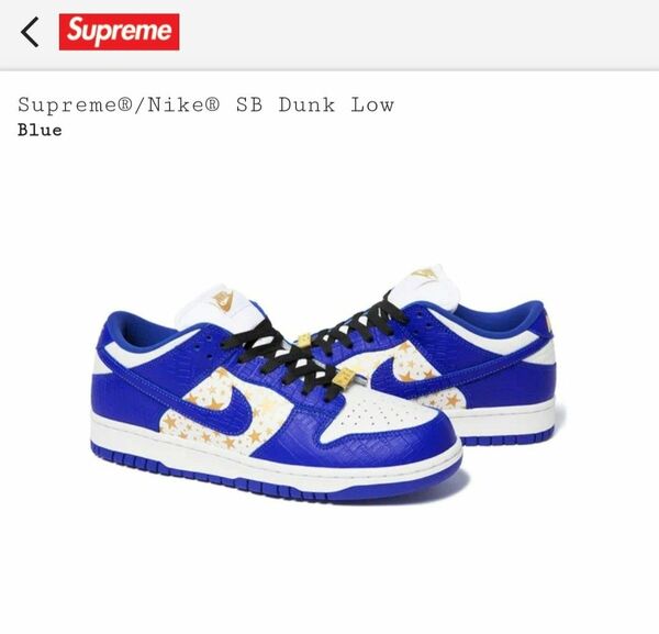 Supreme/Nike SB Dunk Low 27cm