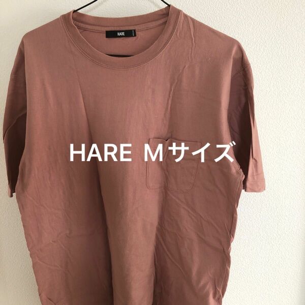 HARE Tシャツ　M