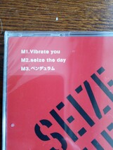 《非売品》【たいぽん】ＳＥＩＺＥ ＴＨＥ ＤＡＹ/Vibrateyou/プロモーション盤/ZMCL-1058/新品未開封送料込み_画像2