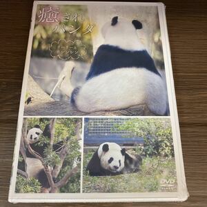 mi215。 新品未開封DVD 癒されパンダ　リーリーとシンシン　上野動物園　