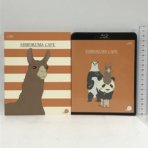 しろくまカフェ 6　SHIROKUMA CAFE　小学館　avex　2枚組 Blu-ray