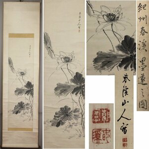 Art hand Auction 《Fuente》 [Compra inmediata / Envío gratis] Pintura antigua Tinta de pincel Kishu Shunkei y dibujo de flor de loto / Encuadernación en pergamino, cuadro, pintura japonesa, flores y pájaros, pájaros y bestias