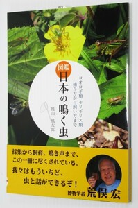 日本の鳴く虫 コオロギ類 キリギリス類 捕り方から飼い方まで コオロギやキリギリスなど170種以上を収録した大図鑑