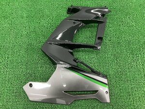 H2SX サイドカウル 右 黒M/銀 55028-0652 カワサキ 純正 中古 ZX1002A ミドルカウル 修復素材やペイント素材に 割れ欠け無し 品薄