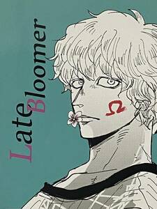 ☆ONE PIECE ワンピース 同人誌　Late Bloomer　Magenta/すな　PONTY　ローコラ　ロー×コラソン　2017/52p/A5/漫画