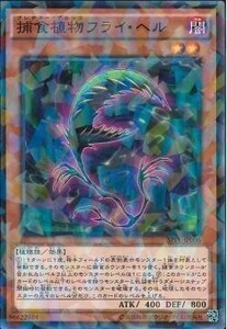 遊戯王 SPFE 捕食植物フライ・ヘル (ノーマルパラレル)