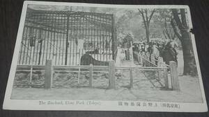 郵便はがき　東京名所　上野公園動物園　ポストカード　古い絵葉書