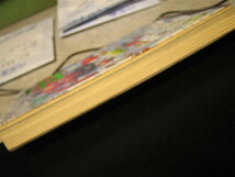 岳、１１巻、石塚真一、２０１０年初版第1刷、ビッグコミック、小学館_画像3
