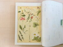 完品 小島烏水『日本山水論』明治38年 隆文館刊（初版本）山岳書 山書 山岳論集 登山書 山岳随筆集_画像6