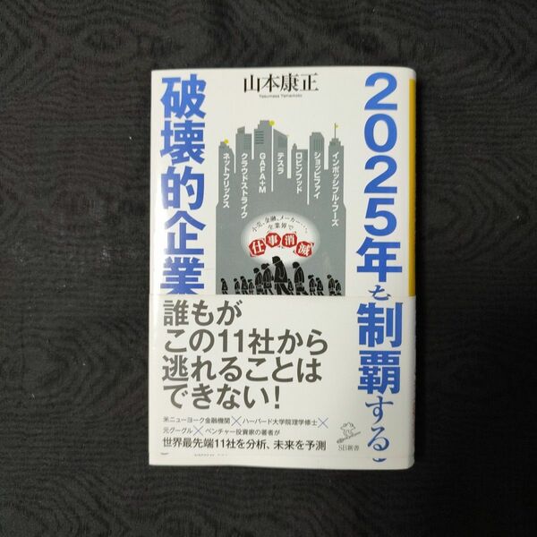 ２０２５年を制覇する破壊的企業 山本康正／著