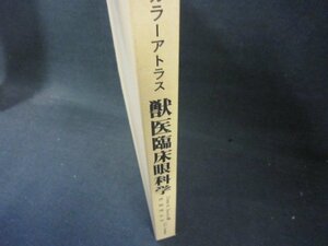 カラーアトラス　獣医臨床眼科学　シミ有/AAZK