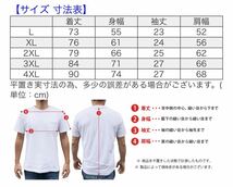 【新品未使用】PROCLUB プロクラブ COMFORT コンフォート 5.8oz 無地半袖Tシャツ 白２枚セット 2XLサイズ_画像2