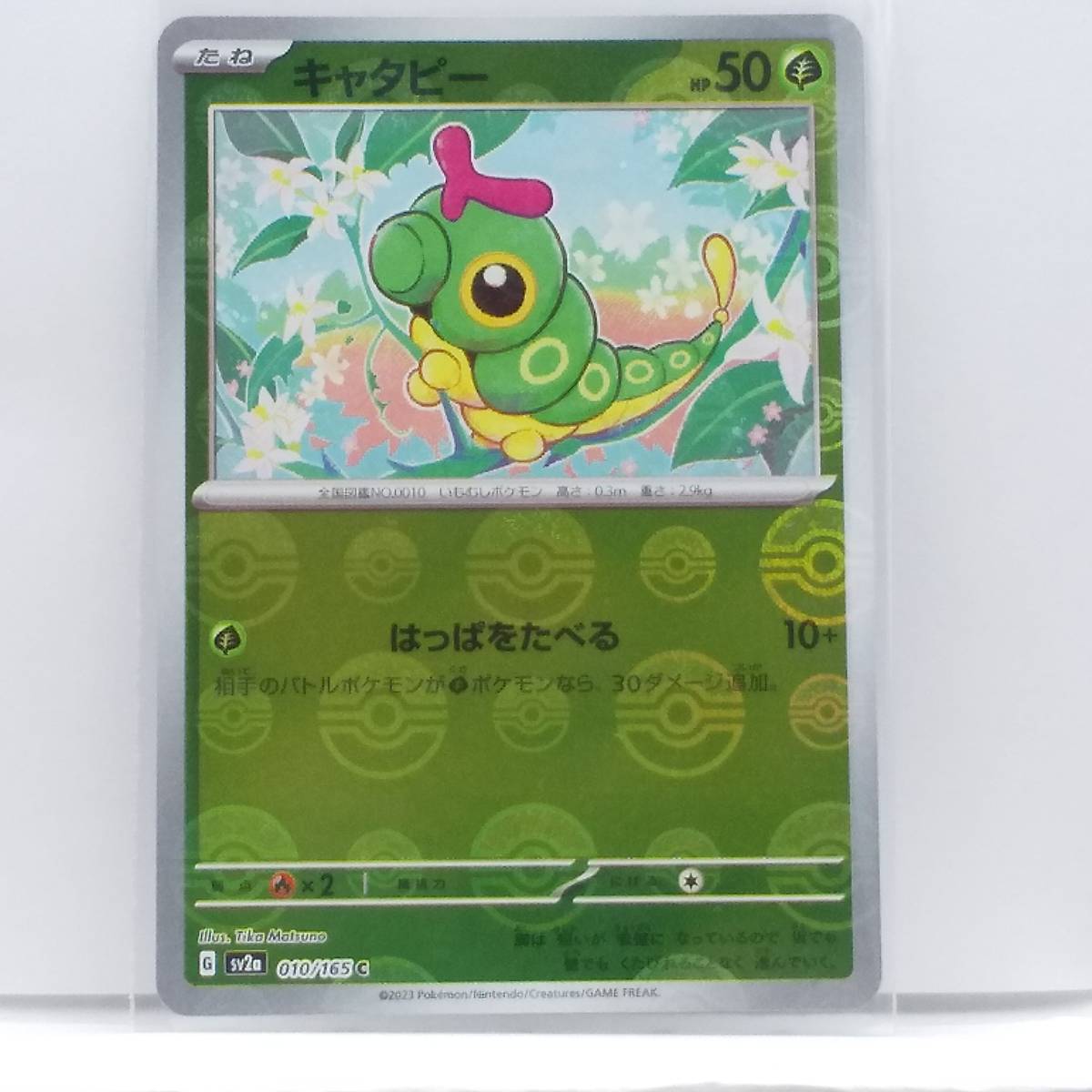 注目ショップ ④バラ売り歓迎! ポケモン カードゲーム 拡張パック 151