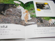 ★キンダーブック　しぜん　『ねこ』　フレーベル館　2016年12月号　指導・今泉忠明　写真・福田豊文_画像9