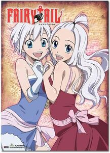 FAIRY TAIL MIRAJANE AND LISANNA タペストリー グッズ 80x110cm (31.5x43.31in) 北米版