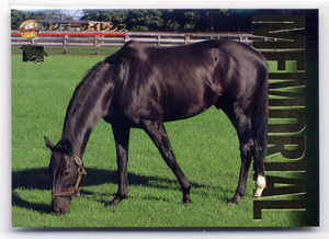 * Sunday Silence M19 memorial карта Bandai Thoroughbred Card 97 год внизу половина период версия G16. производство пешка = глубокий удар скачки карта быстрое решение 