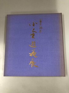 ▼　【図録 百歳記念 小倉遊亀展 1995-1996】137-02306