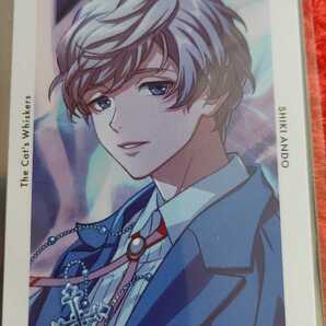 自己紹介欄 商品説明を必ずご覧ください Paradox Live パラライ 闇堂 四季 Gプリ Ver.11 ブラインド トレカ グッズ The Cat's Whiskers