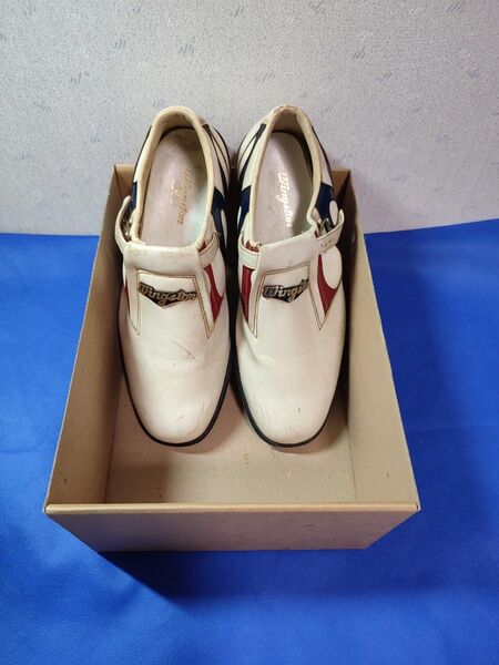 wingston ウイングストン ゴルフシューズ靴 26.0cm 趣味