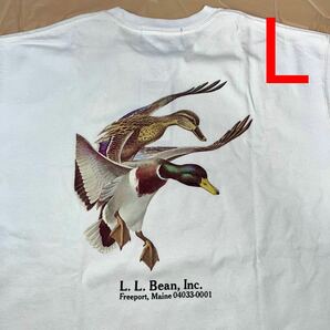 L 白 鳥 decoy L.L.Bean × BEAMS 別注 Bean's Green Label Print T ビームス コラボ Tシャツ L.L.ビーン