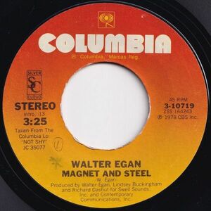 Walter Egan Magnet And Steel / Tunnel O' Love Columbia US 3-10719 202623 ROCK POP ロック ポップ レコード 7インチ 45