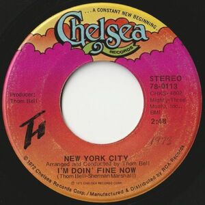 New York City I'm Doin' Fine Now / Ain't It So Chelsea US 78-0113 202707 SOUL ソウル レコード 7インチ 45