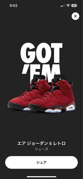 エアジョーダン6 Toro Bravo 29cm Nike Air Jordan 6 未使用