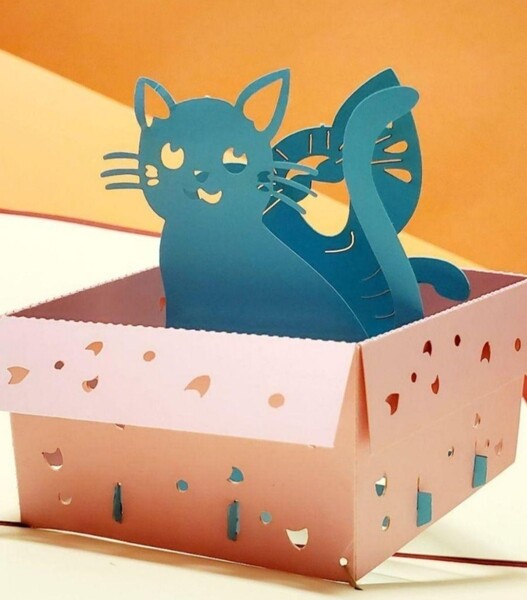 立体カード HANAKO 飛び出すカード 箱入り猫 誕生日カード 猫のカード