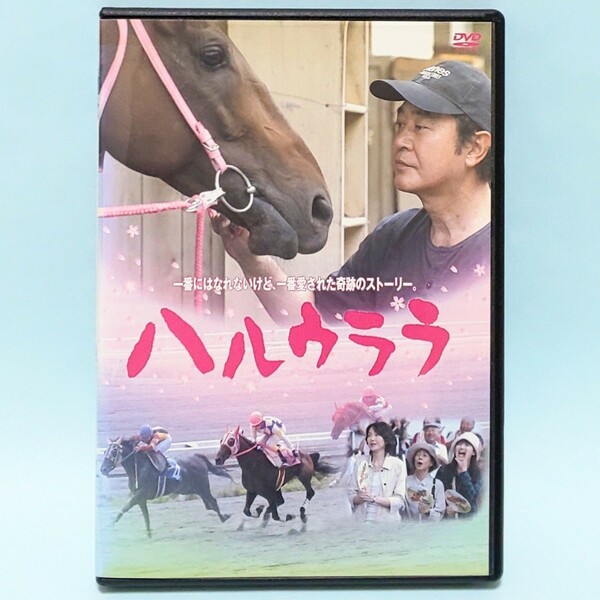 ハルウララ レンタル版 DVD 渡瀬恒彦 賀来千香子 忍成修吾 七海まい 前田吟 ガッツ石松 竹中直人 左時枝 田山涼成