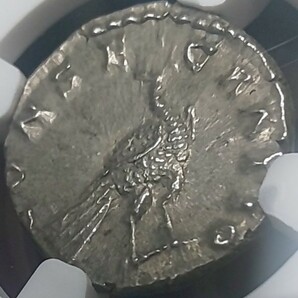 【Ch AU 5/5 5/5】ファウスティナ ジュニア マルクス・アウレリウスの妻 デナリウス 銀貨 人気 NGC 古代コイン 資産保全の画像7