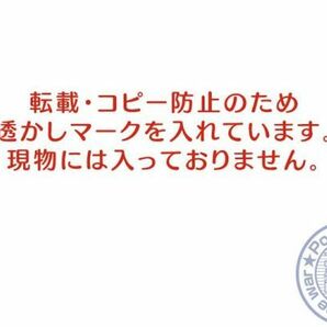 0819 東京 亀戸天神の藤【戦前絵葉書】の画像3