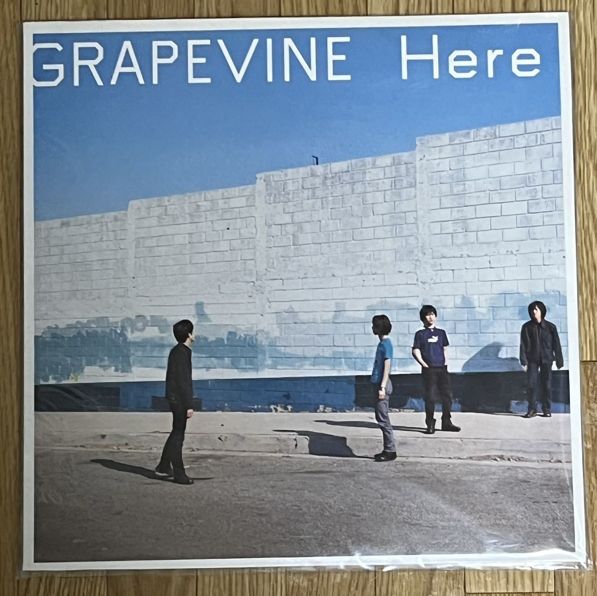 ヤフオク! -「grapevine here」(レコード) の落札相場・落札価格