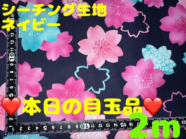 本日の目玉品【2m】シーチング生地 桜 サクラいっぱい 花柄 ネイビー