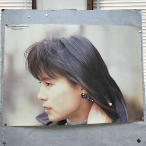 K267 SHIRAI TAKAKO and CRAZY BOYS Flower Powerポスター/白井貴子/非売品/約、縦59×横83.5cm/ピン穴あり