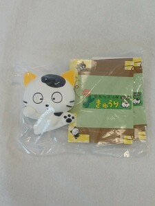 うちのタマ知りませんか？ うちのタマ集めませんか？ タマ(きゅうり箱) ソフビ フィギュア TAKARA TOMY 内袋未開封 長期保管