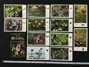 ｗ◎　絵葉書　高山植物　12枚　未使用　絵はがき　ポストカード　観光　/N-F02