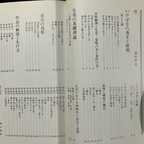 ｇ◎ 池坊生花研究 基本と変化 著・横山夢草 昭和62年第15刷 華道家元池坊総務所 /A09の画像2