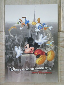 TDR 東京ディズニーリゾート “夢がかなう場所” 背景モノクロ シンデレラ城 ミッキーマウス ポストカード
