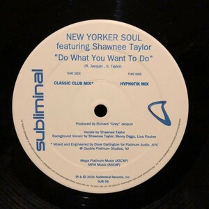 New Yorker Soul Feat. Shawnee Taylor / Do What You Want To Do