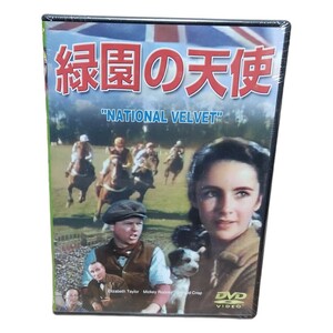 DVD 緑園の天使