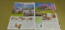 東北(青森・秋田・福島)・一期一会の桜旅　グラビア雑誌切り抜き8P_画像4