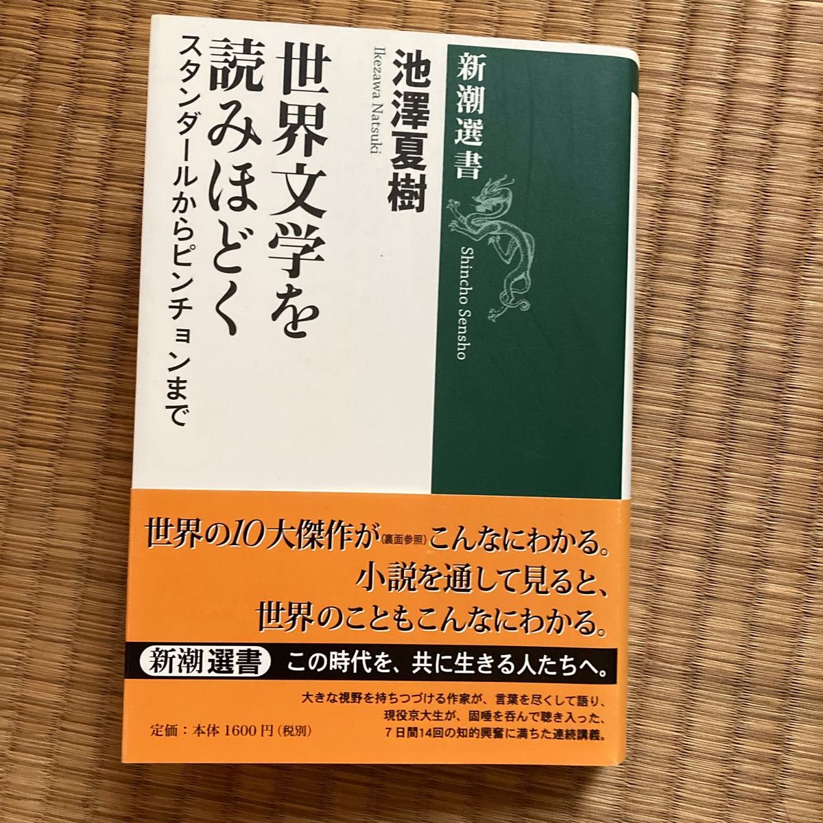 名訳 ゾラ・セレクション 全10冊 藤原書店 検 居酒屋/ナナ/バルザック